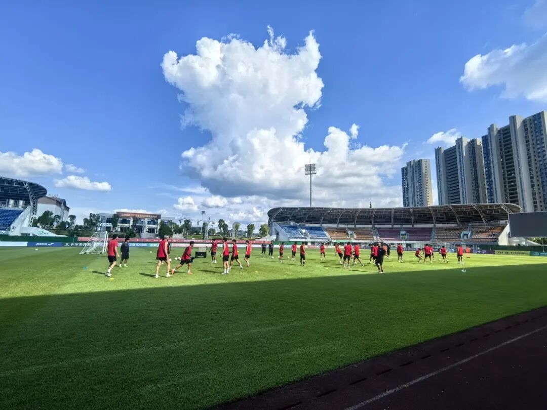 素有, 以进一步释